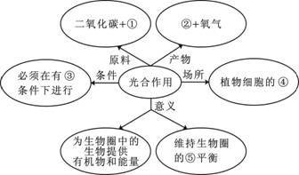 请在下列序号后的横线上填上恰当的内容,将下边的光合作用概念图补充